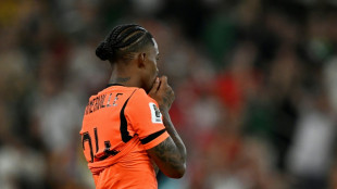 Dutch FA to sue over racist slurs after World Cup exit