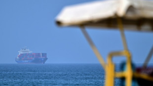 UN maritime head urges halt to Hormuz transit to protect seafarers