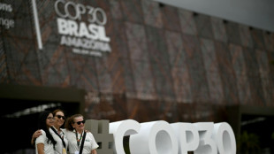 Pagar por preservar bosques: Brasil promover&aacute; en la COP30 un ambicioso fondo de inversi&oacute;n 