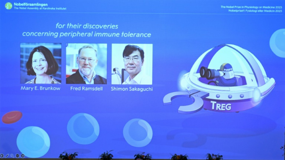 Medizin-Nobelpreis f&uuml;r Entdeckung von "W&auml;chtern" des Immunsystems