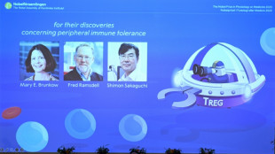 Medizin-Nobelpreis f&uuml;r Entdeckung von "W&auml;chtern" des Immunsystems