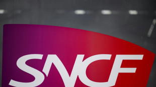 La SNCF de nouveau interpell&eacute;e apr&egrave;s la mort d'un animal domestique sur des voies en gare