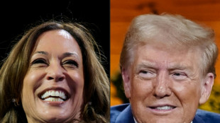A J-15, Harris courtise les conservateurs mod&eacute;r&eacute;s face &agrave; la virulence de Trump
