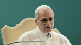 Climat: le pape et Schwarzenegger appellent les citoyens &agrave; faire pression sur les gouvernements