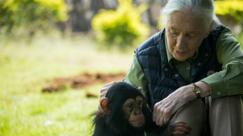 &Uacute;ltimo desejo de Jane Goodall: enviar Trump, Musk, Putin, Xi e Netanyahu ao espa&ccedil;o