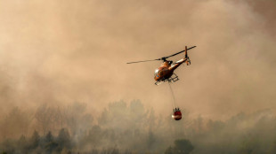 Infernos devastate forests as Europe's temperatures rise again