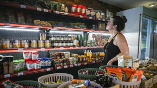 From ketchup to car parts, Cuba gets private sector makeover