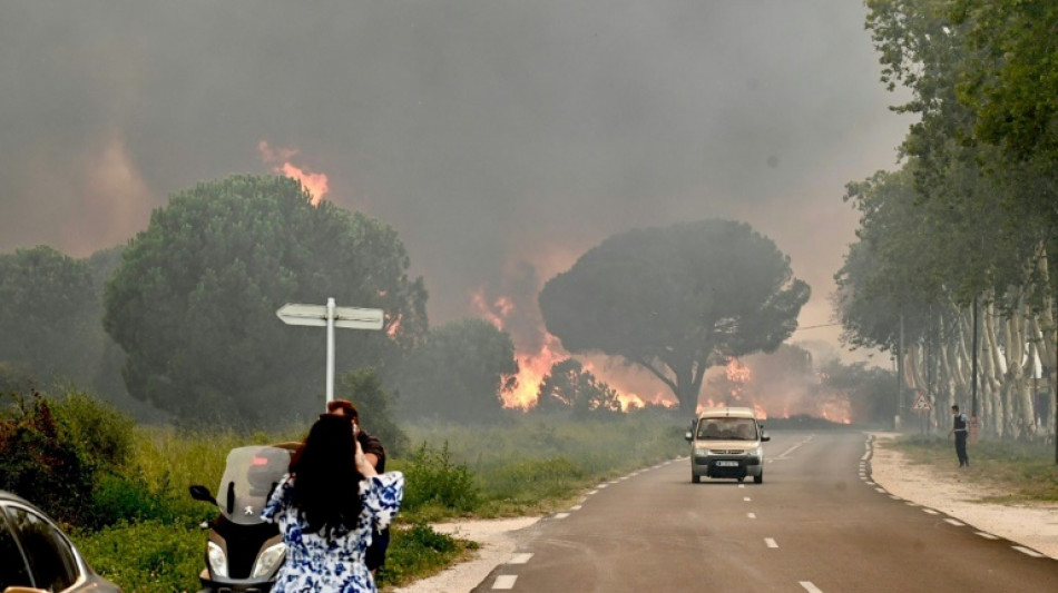 Violent incendie dans les Pyr&eacute;n&eacute;es-Orientales: plus de 3.000 personnes &eacute;vacu&eacute;es de campings