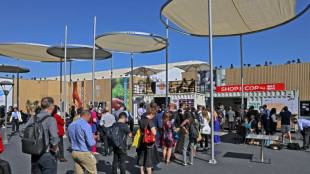 UNO geht auf UN-Klimakonferenz &Uuml;berwachungsvorw&uuml;rfen nach