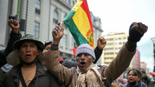 Bolivian Congress OK's use of troops against protesters