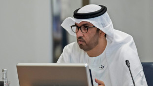 Vereinigte Arabische Emirate ernennen &Ouml;l-Chef zum COP28-Pr&auml;sidenten