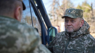 Berater von ukrainischem Armeechef Saluschnyj an Geburtstag durch Granate get&ouml;tet