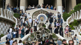 "Ce n'est pas viable": Barcelone cherche la cl&eacute; pour r&eacute;guler le surtourisme