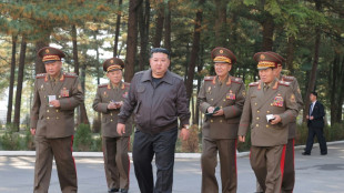 N. Korean leader orders 'mass production' of attack drones