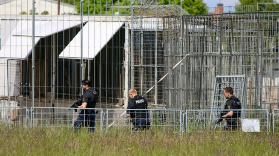 La polic&iacute;a alemana abate a tiros a un tigre que escap&oacute; de una propiedad privada