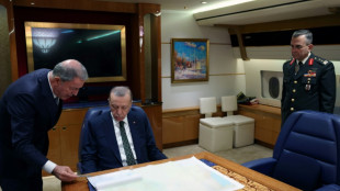 Erdogan erw&auml;gt Einsatz von Bodentruppen bei Milit&auml;roffensive in Nordsyrien 
