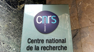Un rapport recommande de revoir la place du CNRS dans la recherche française