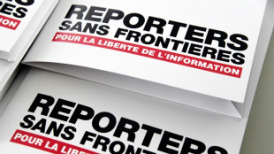 RSF appelle à un "sursaut européen" face aux "menaces" visant les médias publics