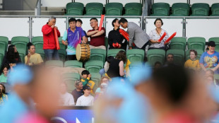 South Koreans gear up to roar on football team from rival North
