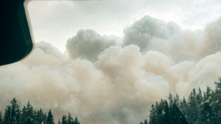 Extreme fire: 'unprecedented risk' poorly understood