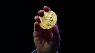 Fields medal awarded to four young mathematicians