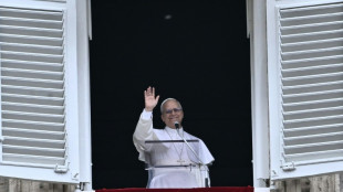 Le pape renouvelle son appel &agrave; la paix au Moyen-Orient