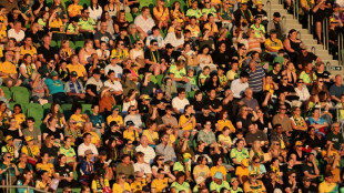 Australia to host Brazil double-header after World Cup 