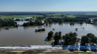 Hochwasser in Brandenburg: H&ouml;chste Alarmstufe an weiterem Oder-Abschnitt