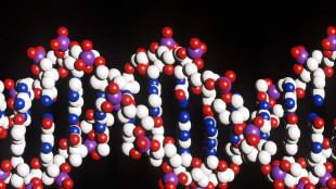 Anche il Dna umano determina se i virus restano nel corpo per anni