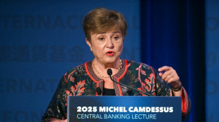 IWF-Chefin: Weltwirtschaft entwickelt sich "besser als bef&uuml;rchtet"