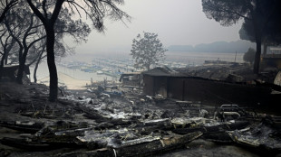 Spain's three worst wildfires since 1961 happened in last two years