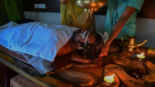 WHO holds first traditional medicine summit
