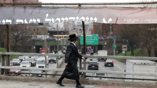 Swastikas daubed on NY Jewish homes, synagogues: police