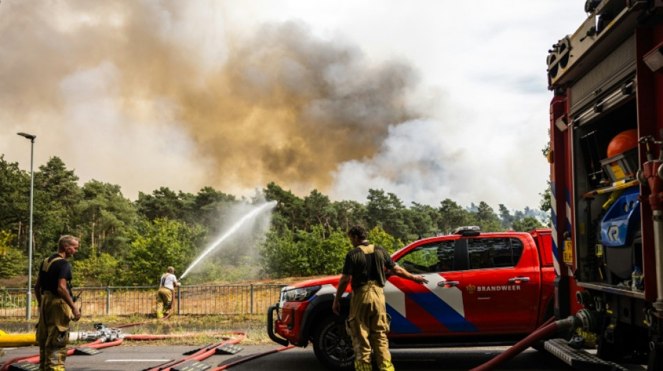 Le sud-est des Pays-Bas touch&eacute; par un feu de for&ecirc;t