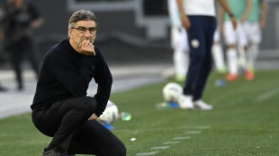 Calcio: &egrave; ufficiale, Juric &egrave; il nuovo allenatore del Southampton
