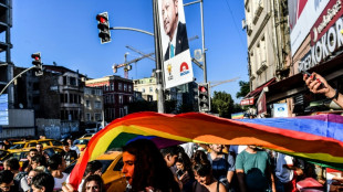 Turqu&iacute;a arrest&oacute; a unas 50 personas durante la Marcha del Orgullo en Estambul