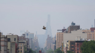 Incendios de Canad&aacute; desatan nueva amenaza arancelaria de Trump y ponen en alerta la final Espa&ntilde;a-Argentina