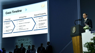 US touts 'New Gaza' filled with luxury real estate