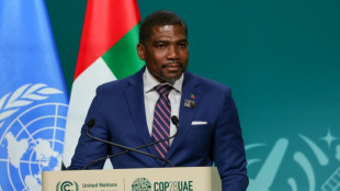 Con job? Climate change is my job, says island nation leader