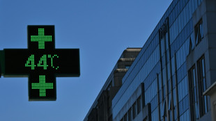 Heatwave-hit Europe must adapt healthcare: WHO