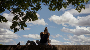 Chaleur en France: "globalement tr&egrave;s chaud jusqu'&agrave; samedi" , pr&eacute;vient M&eacute;t&eacute;o-France