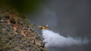 Al menos 12 fallecidos y 23 personas sin localizar en un violento incendio en el sur de Espa&ntilde;a