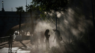 Canicule: dans une France qui suffoque, les autorit&eacute;s appellent &agrave; la vigilance sur les feux 