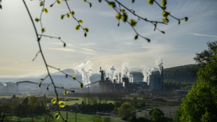 Survie de l'usine de p&acirc;te &agrave; papier Fibre Excellence: Saint-Gaudens retient son souffle 