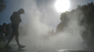 Alerta m&aacute;xima por ola de calor en m&aacute;s de un tercio de Francia el domingo