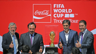 O cobi&ccedil;ado espa&ccedil;o no seleto clube de patrocinadores da Fifa