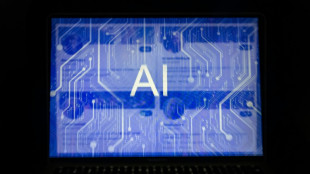 Otra v&iacute;a es posible para la IA, afirma la periodista Karen Hao