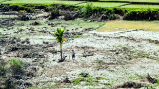 En Indon&eacute;sie, les survivants tentent de se reconstruire sous la menace de nouvelles pluies