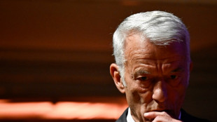 Dans une p&eacute;riode politique troubl&eacute;e, le Medef veut exercer un "pouvoir positif"