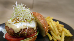 Streit um Veggie-Wurst: Merz und Rainer unterst&uuml;tzen EU-Vorhaben f&uuml;r Namensverbot